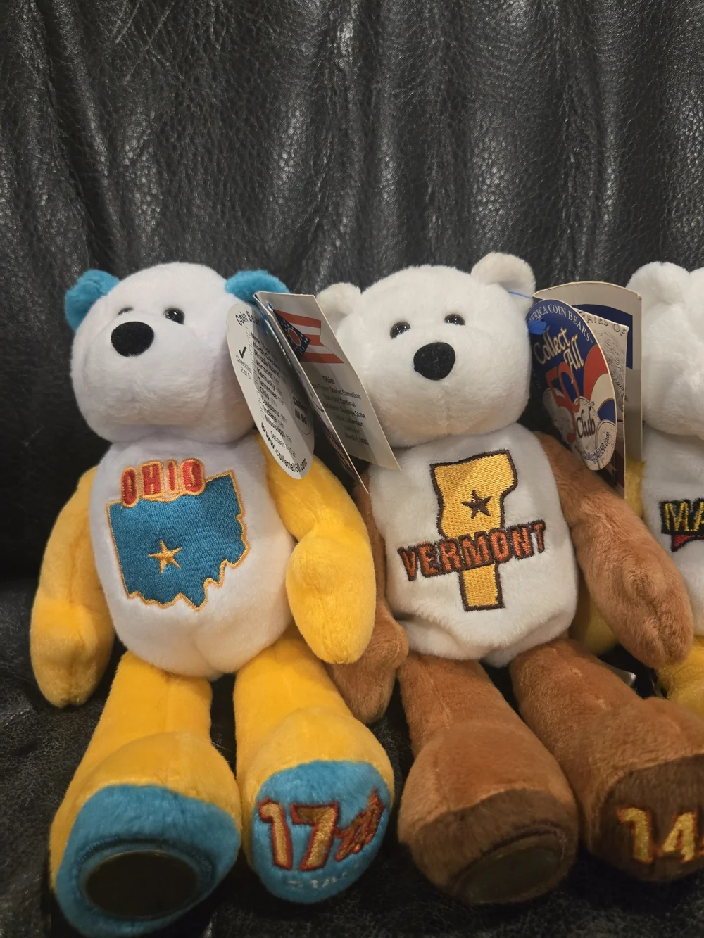 Limited Edition State Quarter Coin Bears – Collectible Plush- Like New - Picture 7 of 12